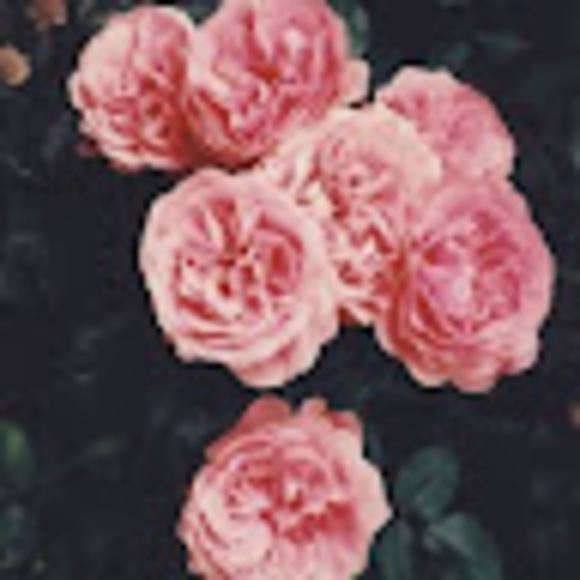 willowdaisy_24
